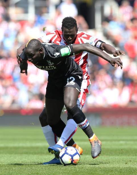 贝加诺维奇 贝加诺维奇